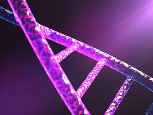 What is the difference between UV sterilization and UV curing lamps?